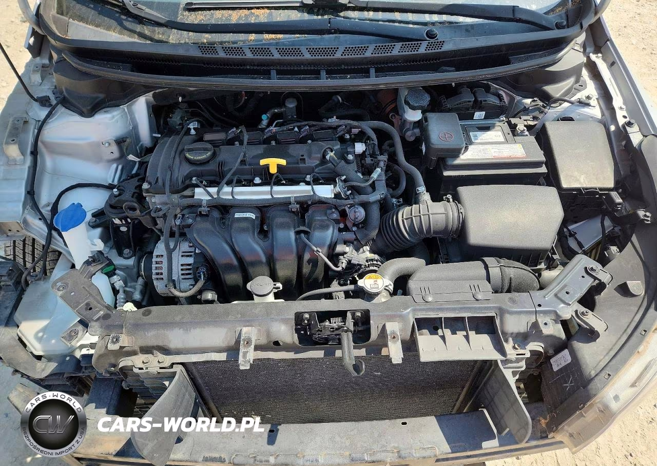 2017 Kia Forte Lx VIN:3KPFK4A73HE047422 - 11