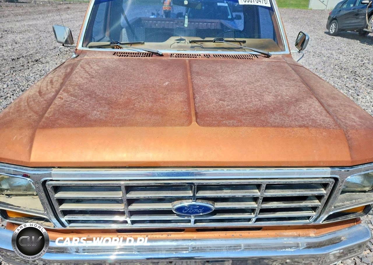 1982 Ford F150 VIN:1FTDF15F4CLA44539 - 11