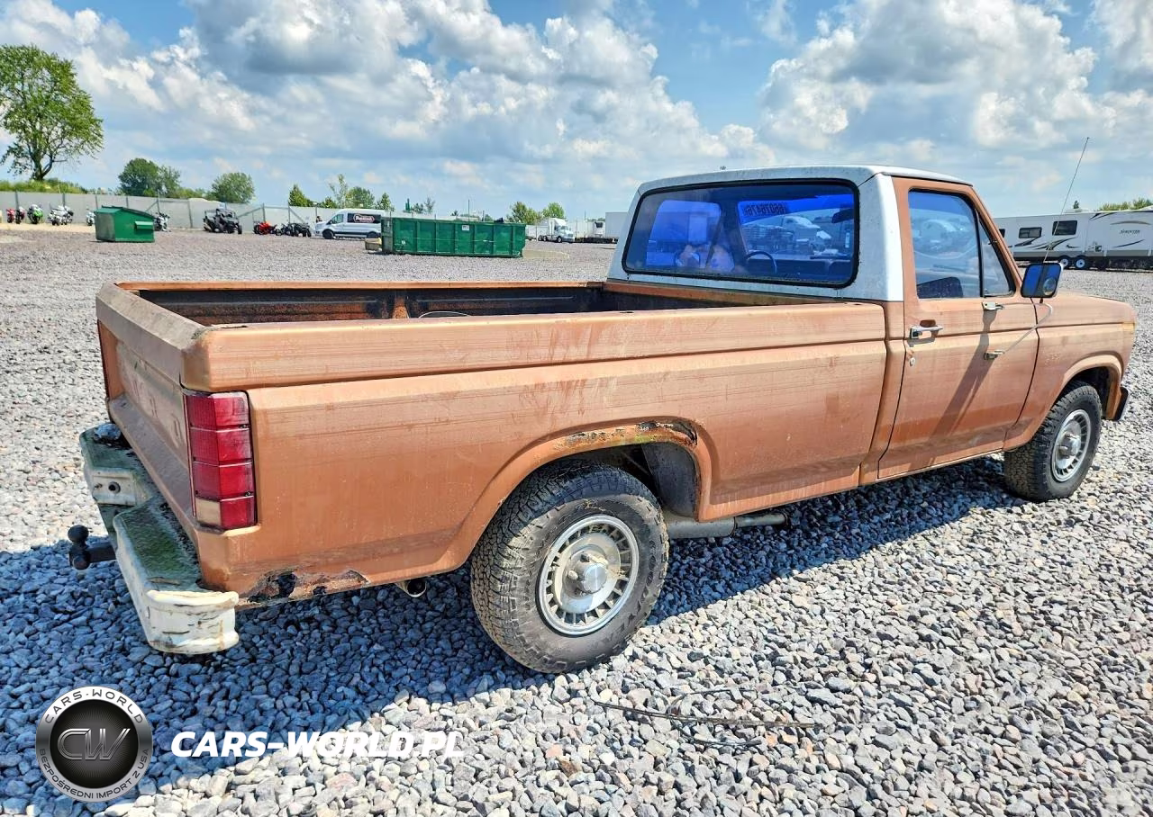 1982 Ford F150 VIN:1FTDF15F4CLA44539 - 3