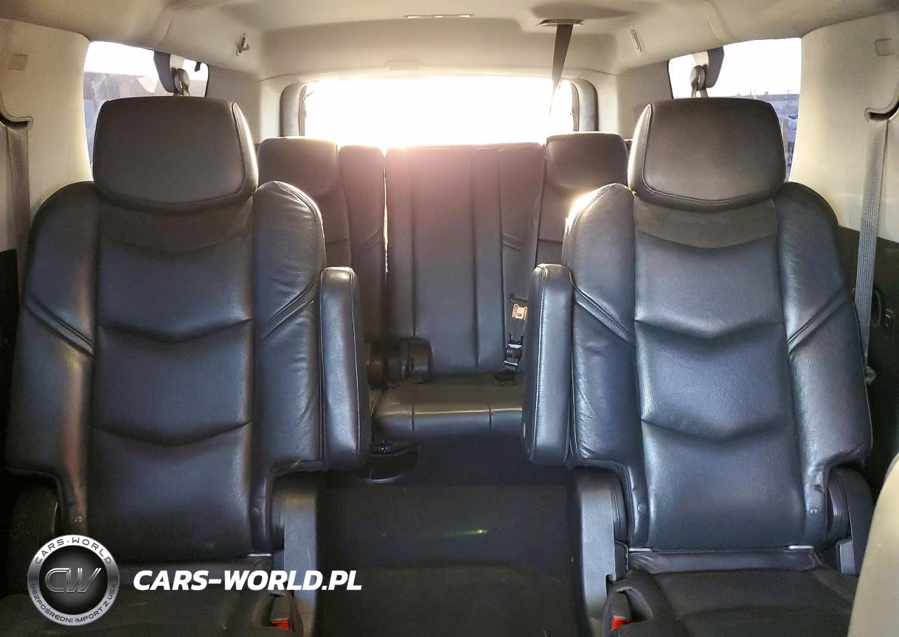 2020 Cadillac Escalade Esv Luxury VIN:1GYS4HKJ3LR122119 - 10