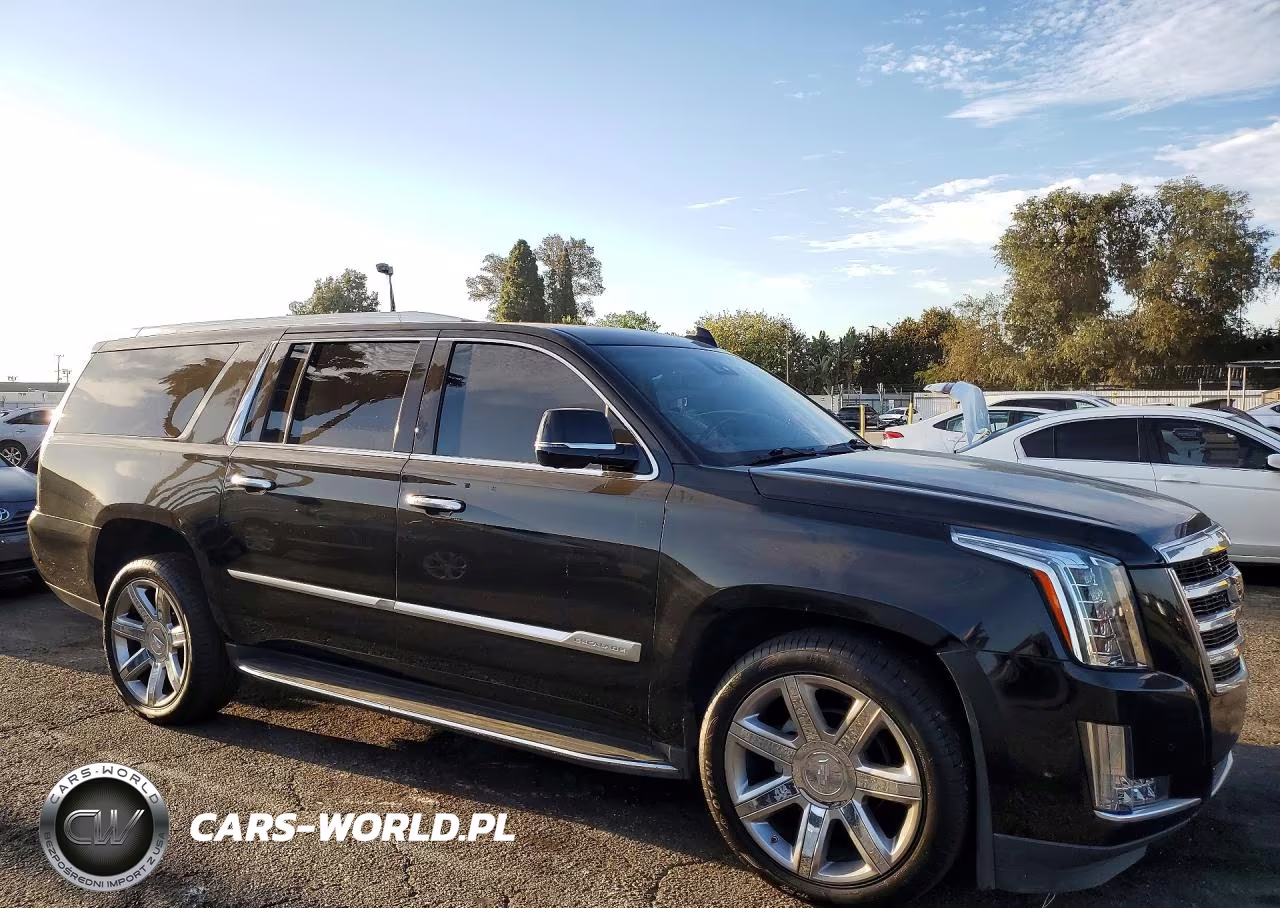 2020 Cadillac Escalade Esv Luxury VIN:1GYS4HKJ3LR122119 - 4