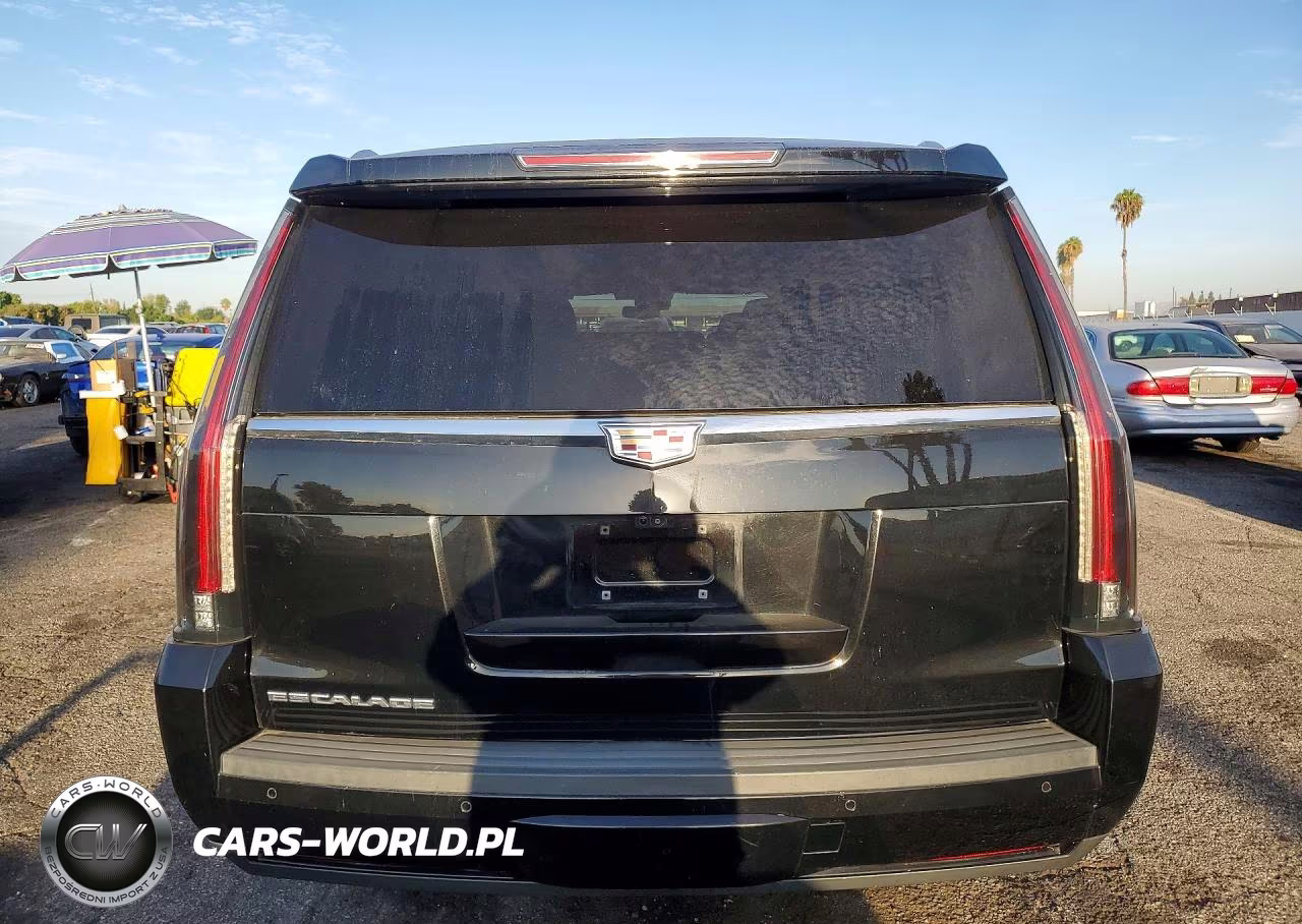 2020 Cadillac Escalade Esv Luxury VIN:1GYS4HKJ3LR122119 - 6