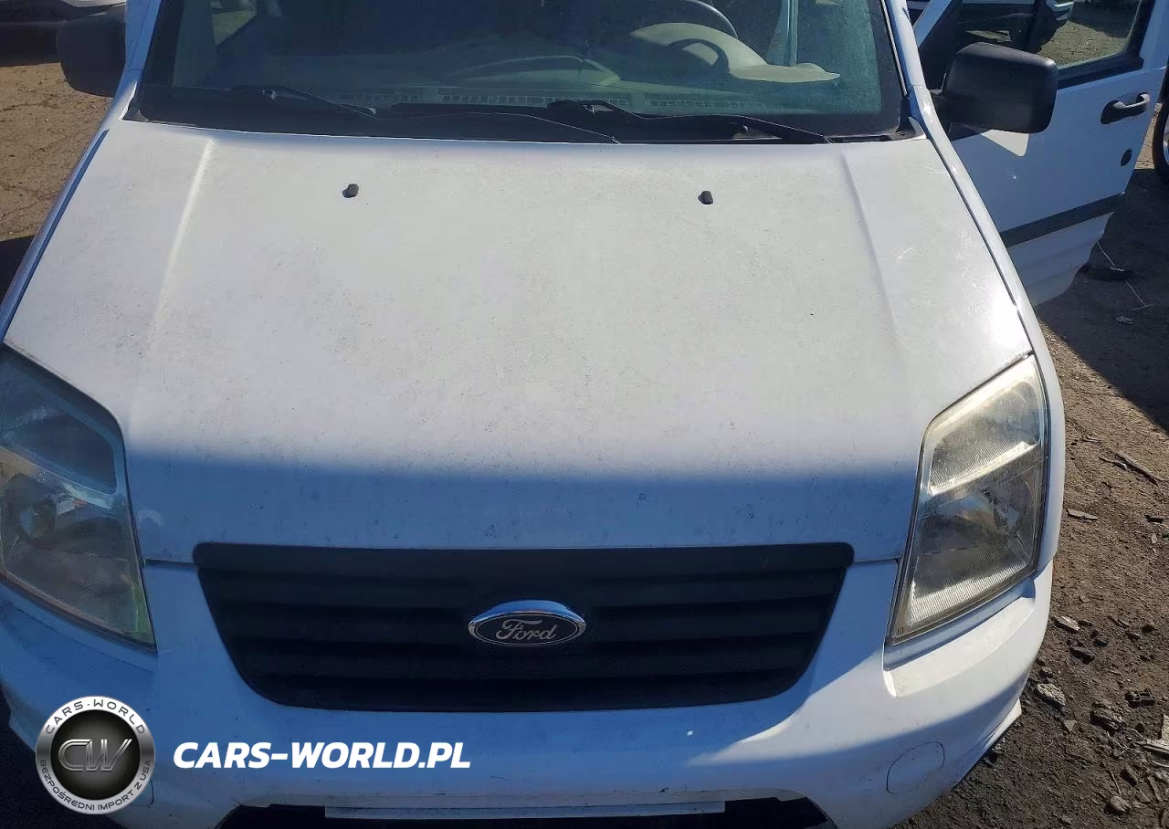 2010 Ford Transit Connect Xlt VIN:NM0KS9BN9AT027582 - 12