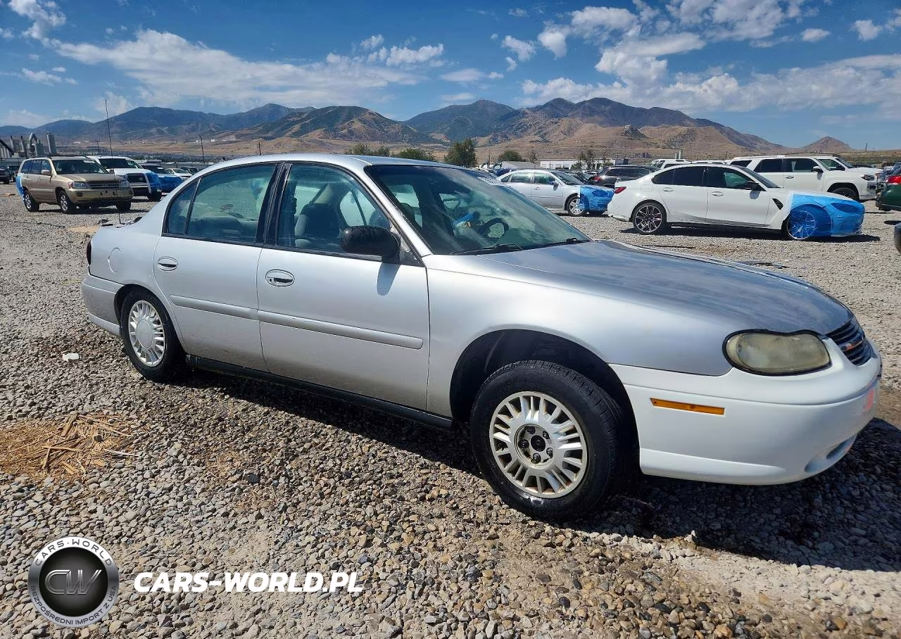 2004 Chevrolet Classic VIN:1G1ND52F94M589078 - 4
