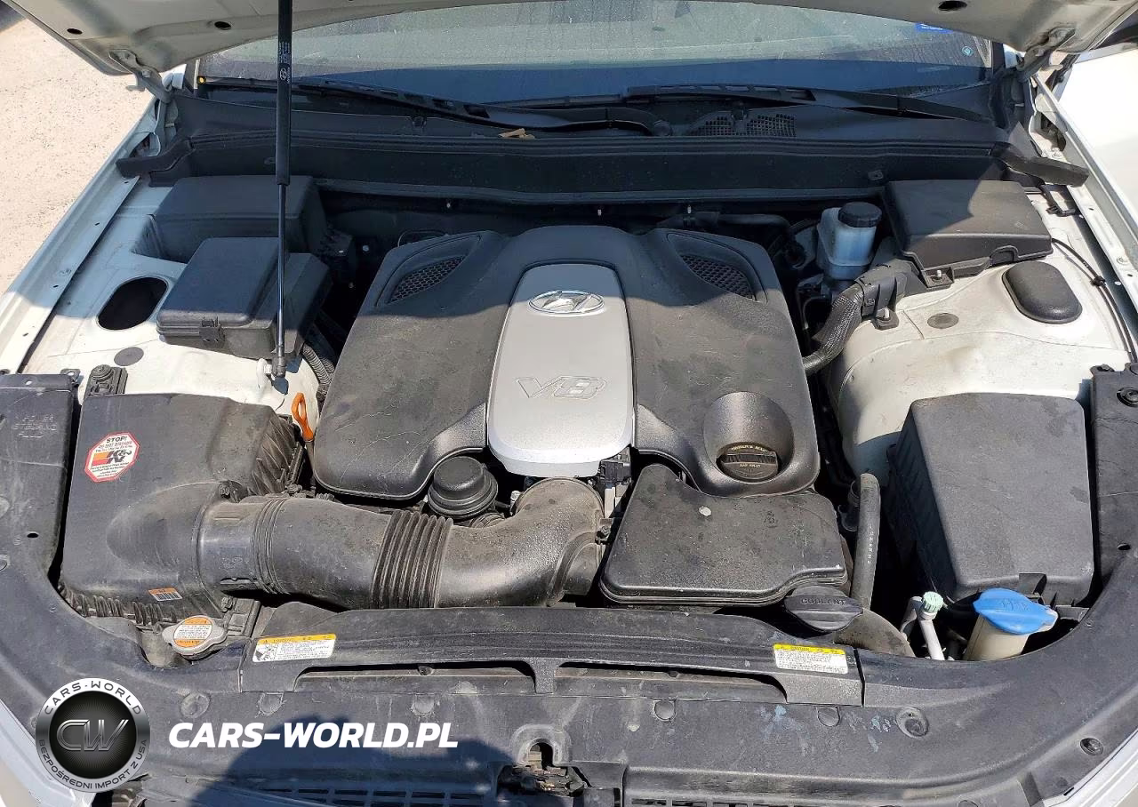 2010 Hyundai Genesis 4.6L VIN:KMHGC4DF7AU087526 - 11