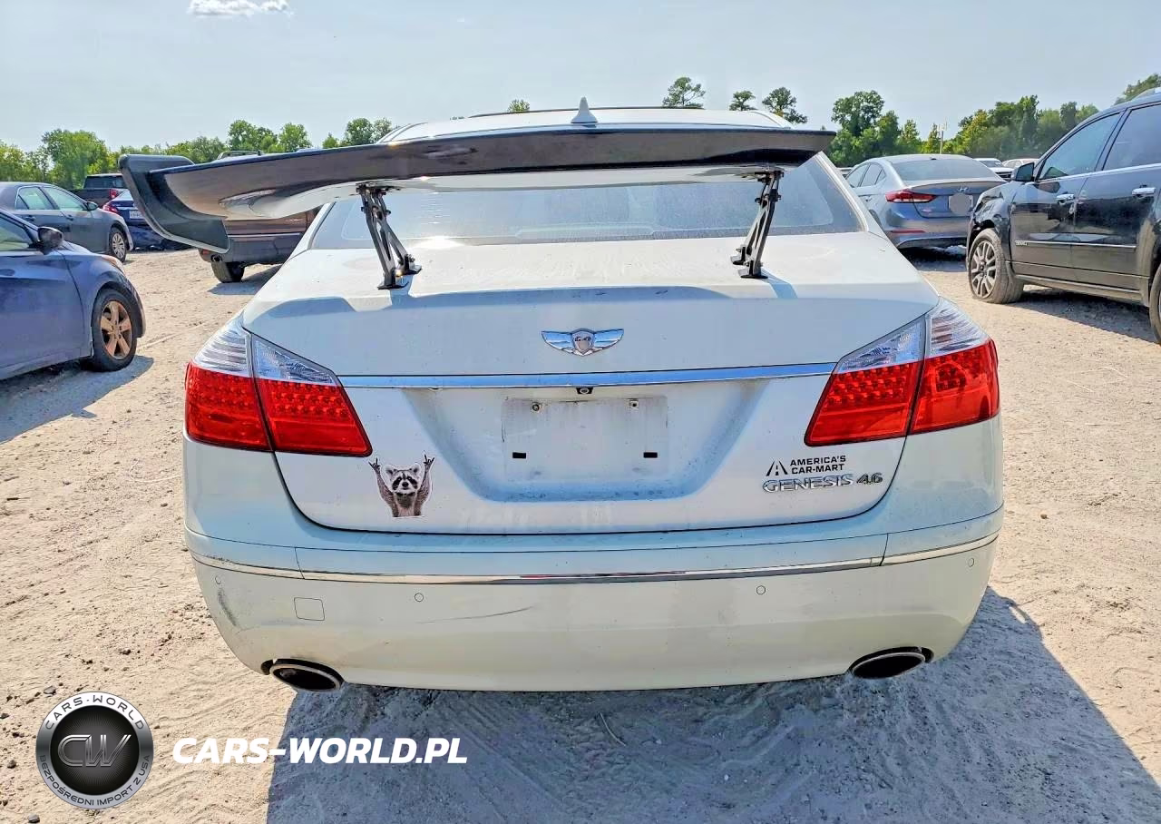 2010 Hyundai Genesis 4.6L VIN:KMHGC4DF7AU087526 - 6