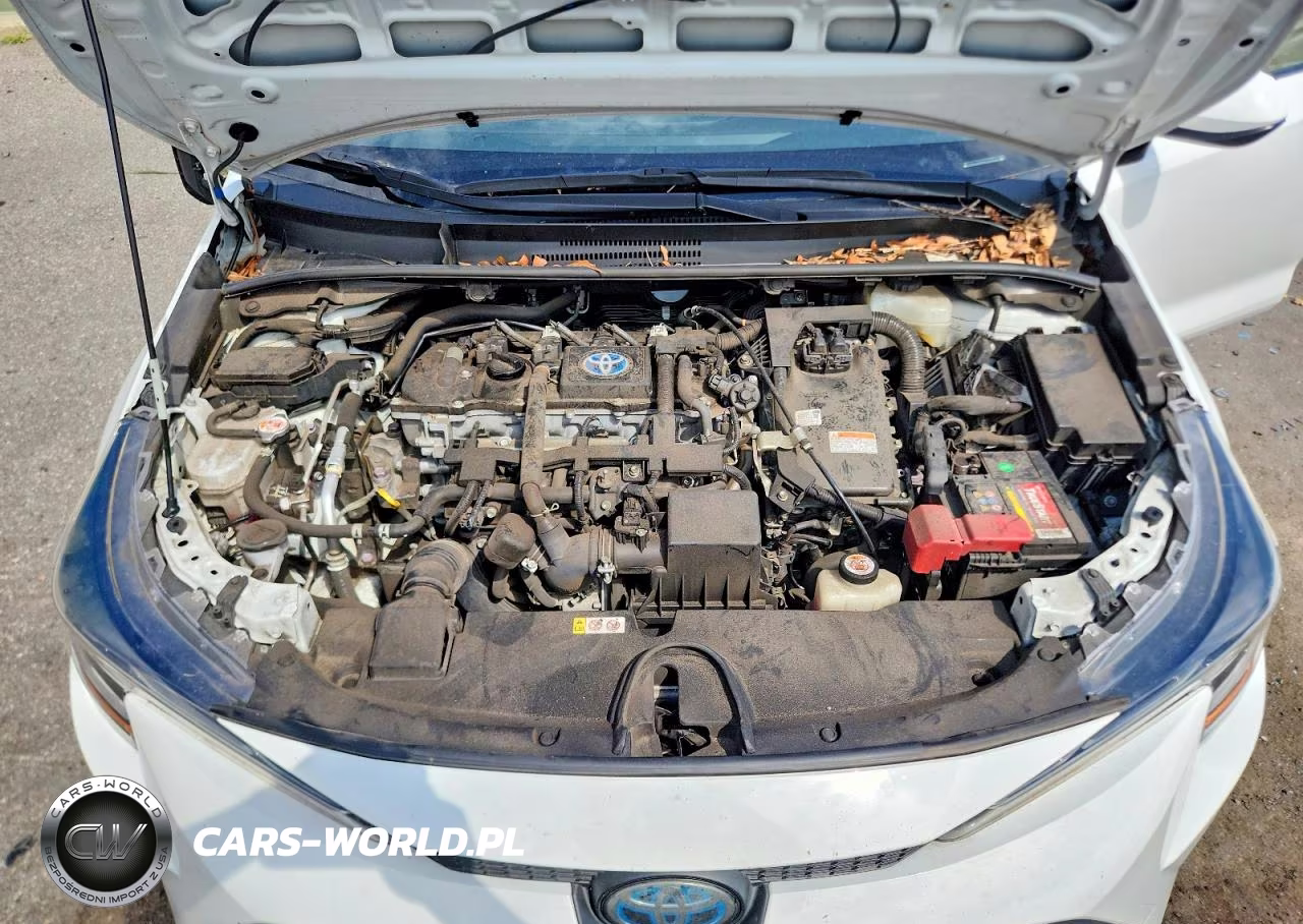 2021 Toyota Corolla Le VIN:JTDEAMDE3MJ023966 - 11