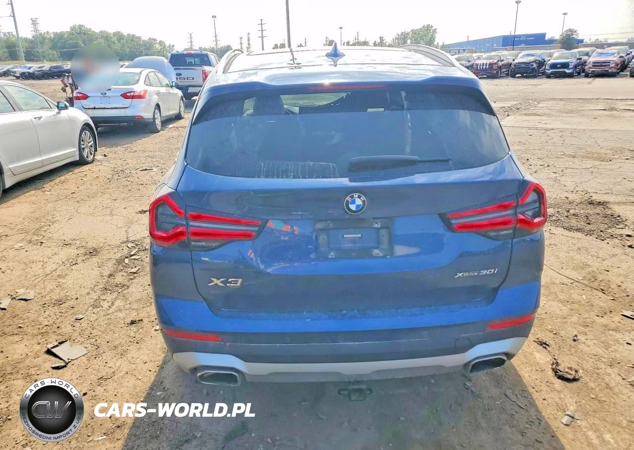 2022 BMW X3 xDrive30I VIN:5UX53DP07N9K99305 - 6