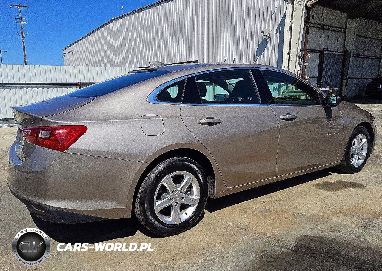 2023 Chevrolet Malibu Lt VIN:1G1ZD5ST8PF184443 - 3