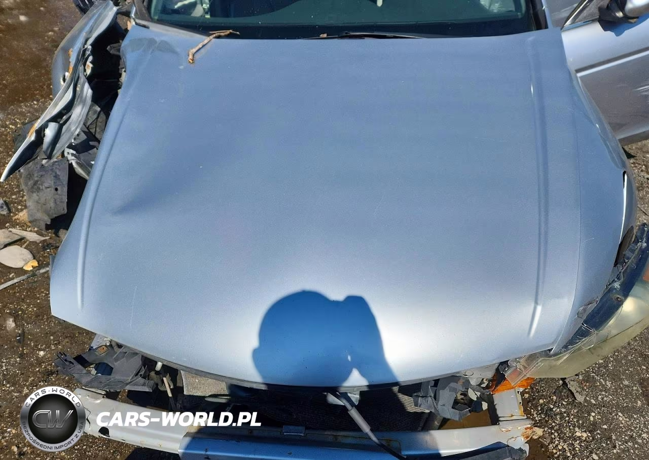 2010 Honda Accord Lxp VIN:1HGCP2F40AA052160 - 11