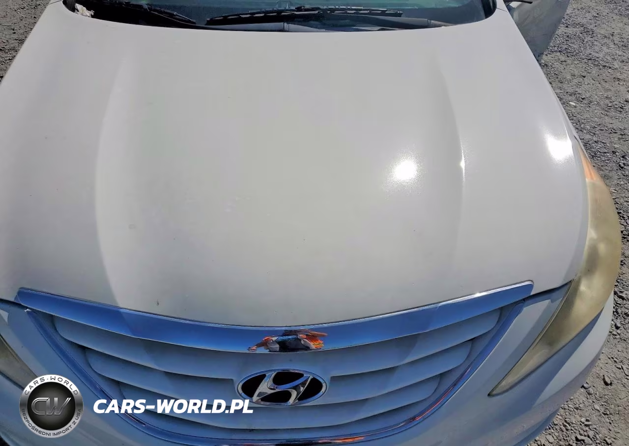 2011 Hyundai Sonata Gls VIN:5NPEB4AC5BH110080 - 11