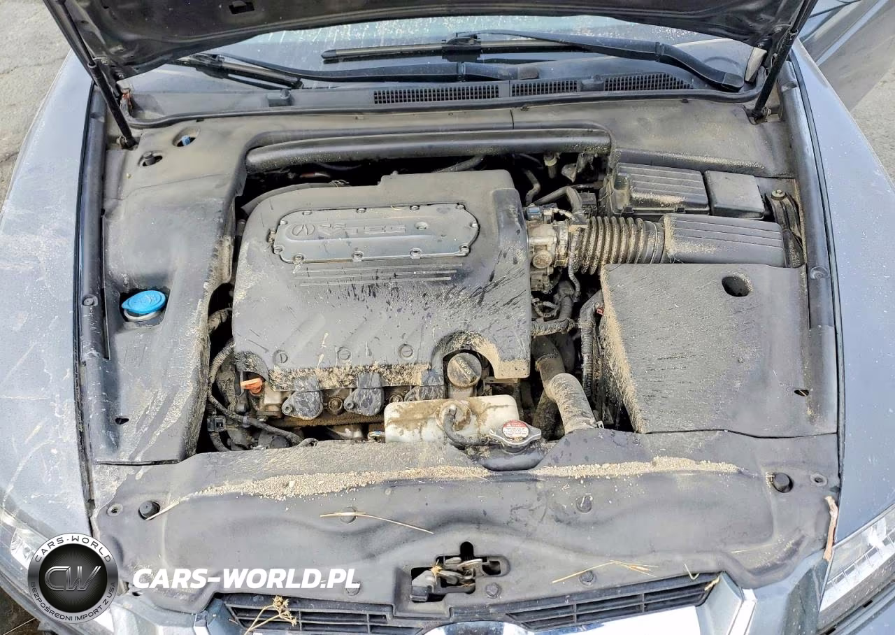 2004 Acura Tl VIN:19UUA66214A033181 - 11