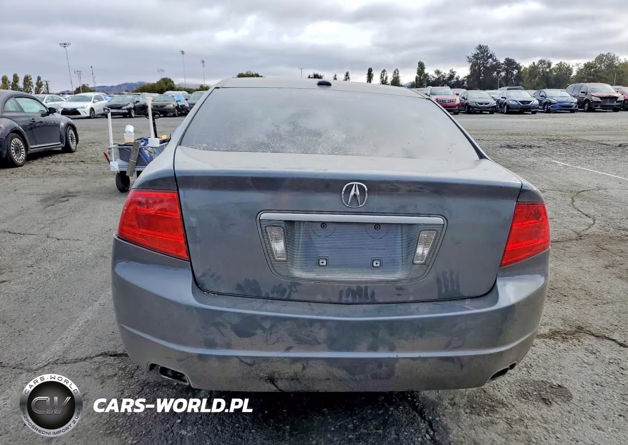 2004 Acura Tl VIN:19UUA66214A033181 - 6