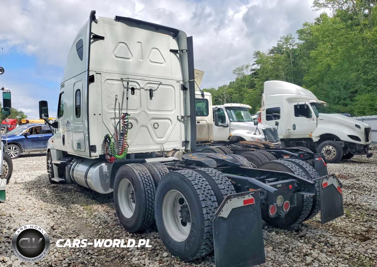 2020 Freightliner Cascadia 125 Semi Truck VIN:3AKJGLFG7LSLG7043 - 2