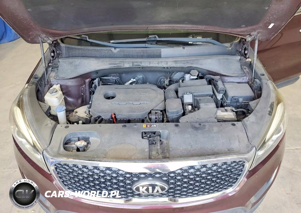 2017 Kia Sorento Lx VIN:5XYPG4A31HG192822 - 12