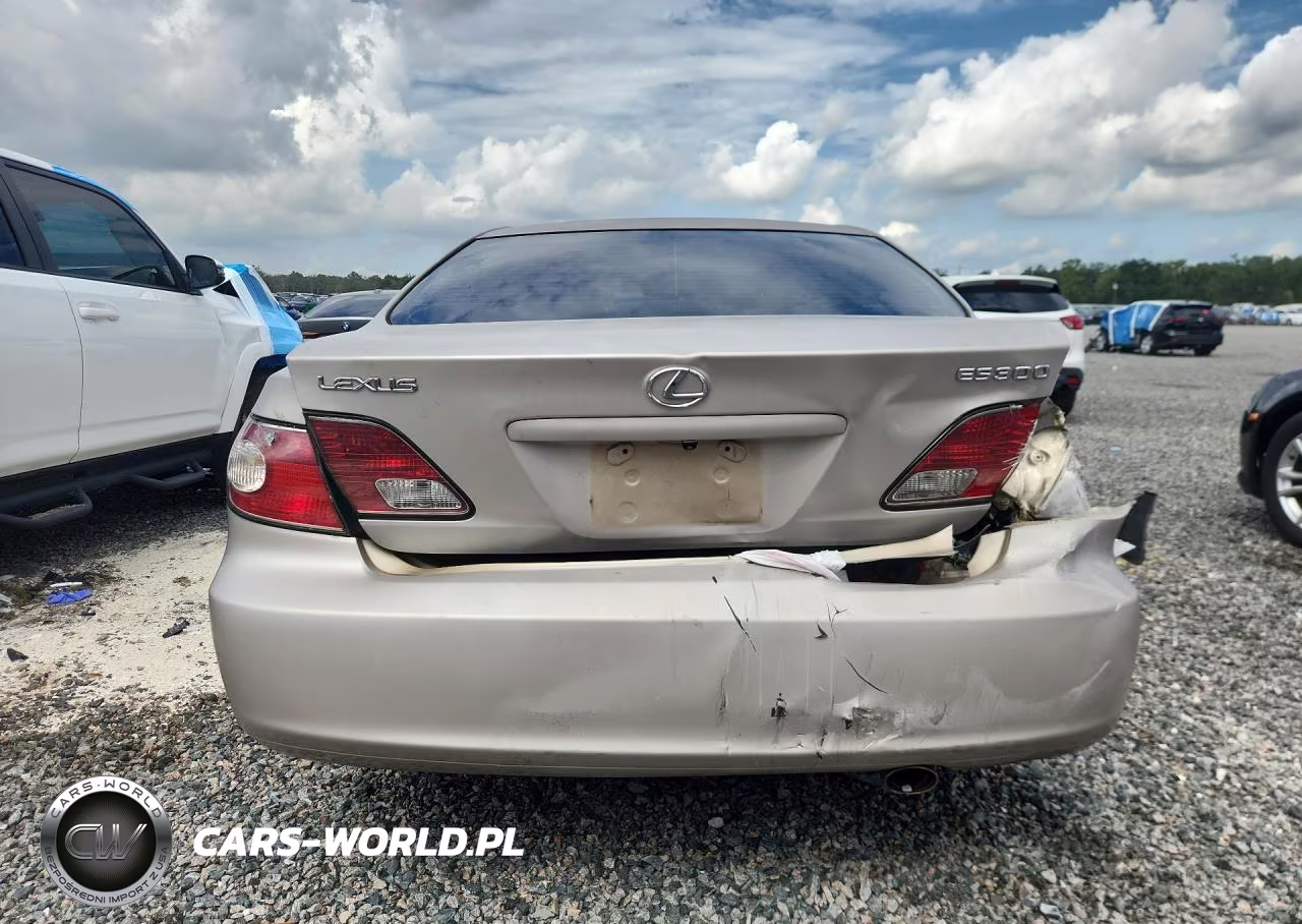 2002 Lexus Es 300 VIN:JTHBF30G520029114 - 6