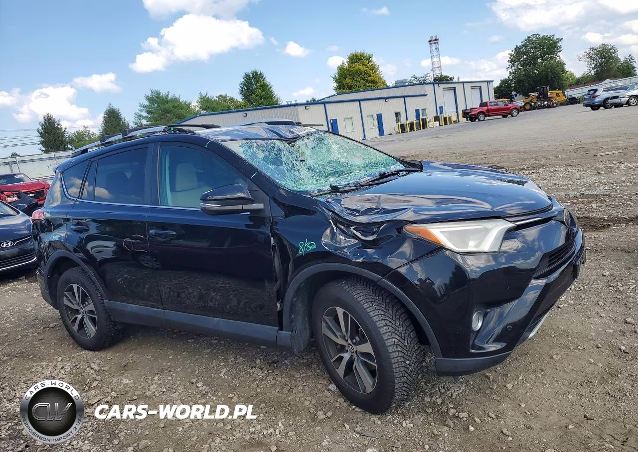 2016 Toyota Rav4 Xle VIN:2T3RFREV6GW522880 - 4