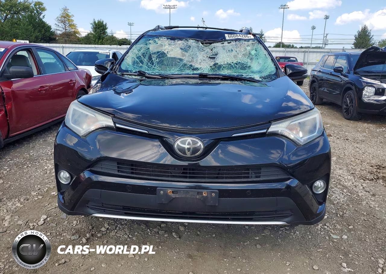 2016 Toyota Rav4 Xle VIN:2T3RFREV6GW522880 - 5