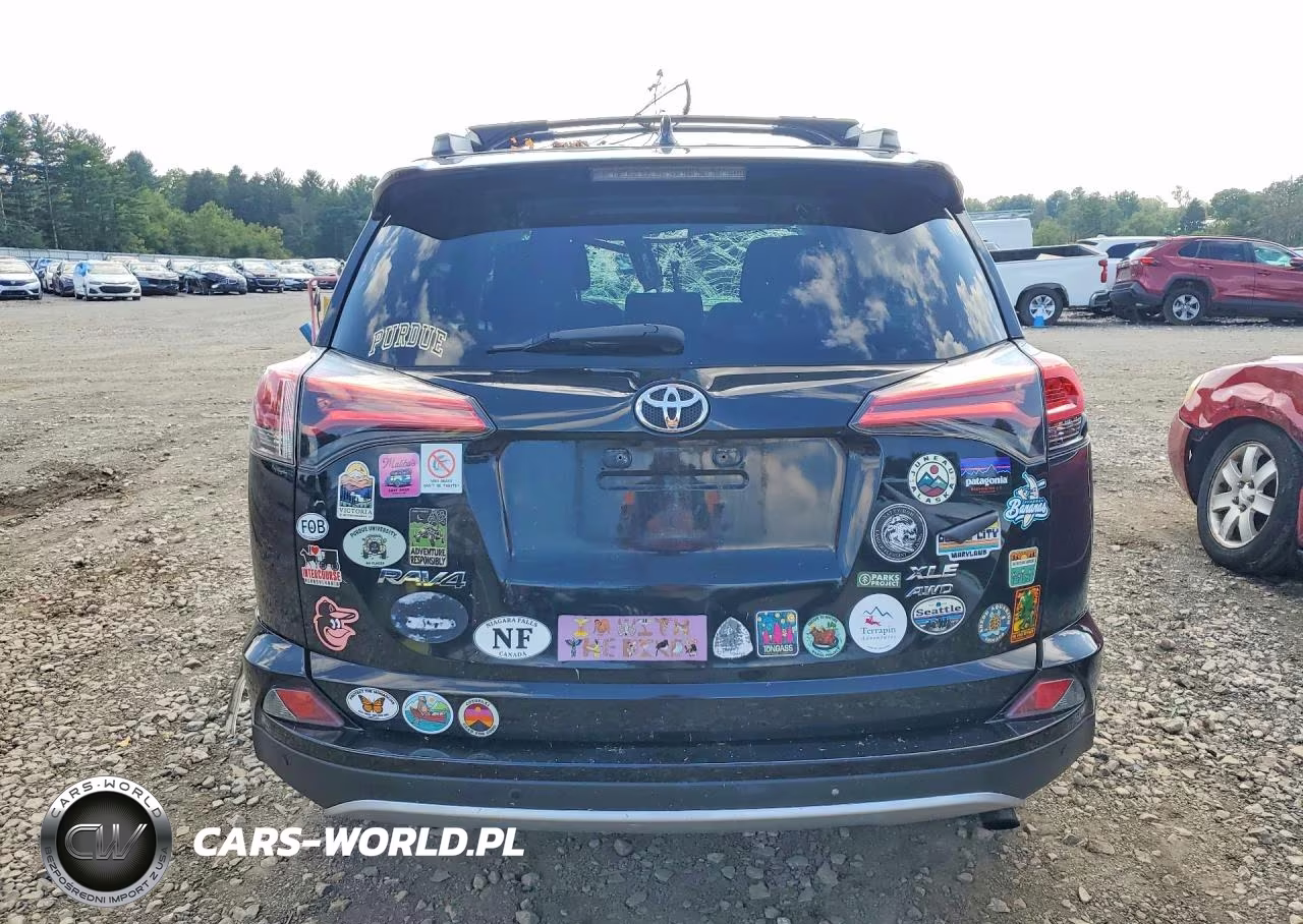 2016 Toyota Rav4 Xle VIN:2T3RFREV6GW522880 - 6