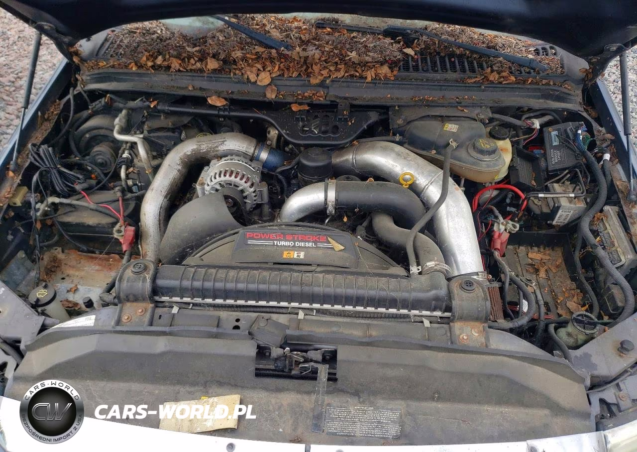 2006 Ford F250 Super Duty VIN:1FTSW21P06EC48274 - 11