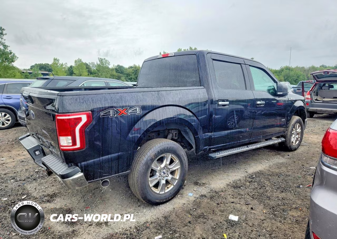 2016 Ford F150 Supercrew VIN:1FTEW1EG7GFA57285 - 3