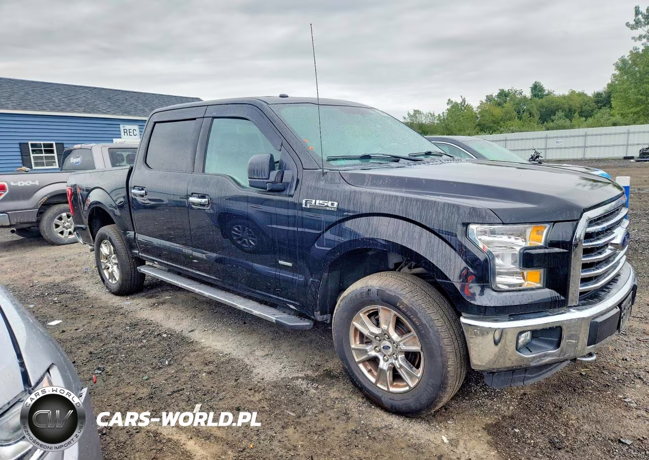 2016 Ford F150 Supercrew VIN:1FTEW1EG7GFA57285 - 4