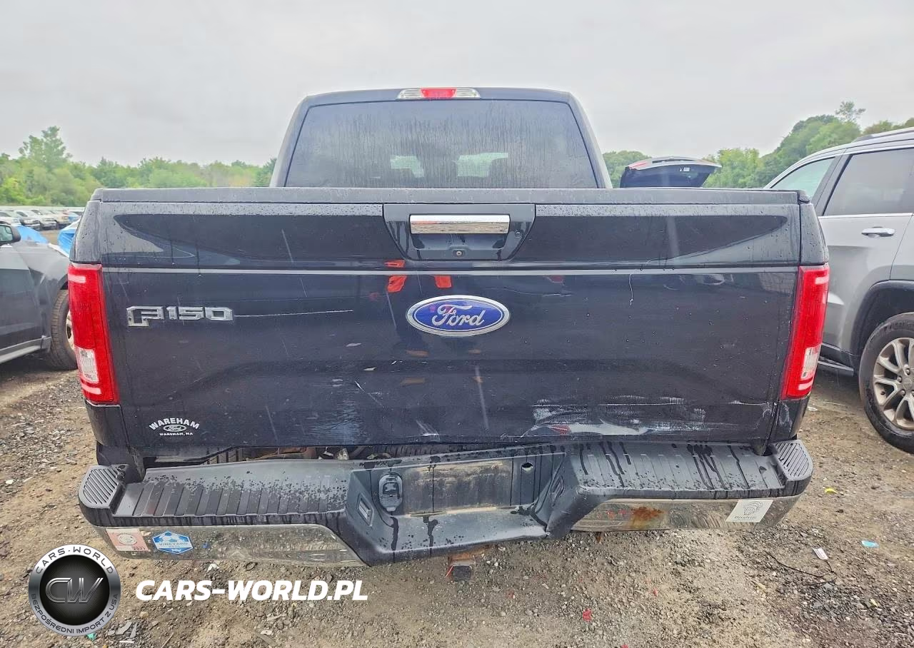 2016 Ford F150 Supercrew VIN:1FTEW1EG7GFA57285 - 6