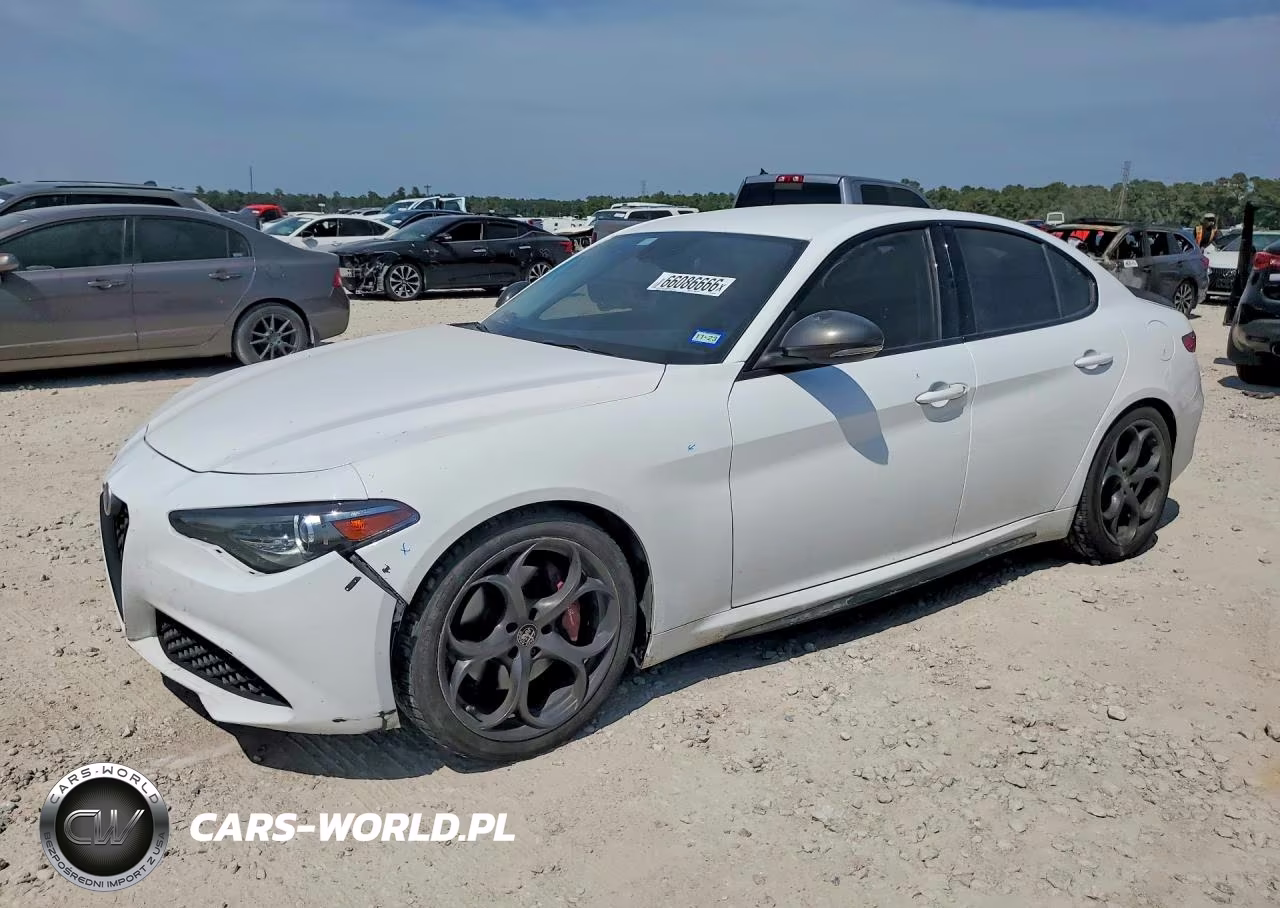 2019 Alfa Romeo Giulia VIN:ZARFAMAN0K7599670 - 1