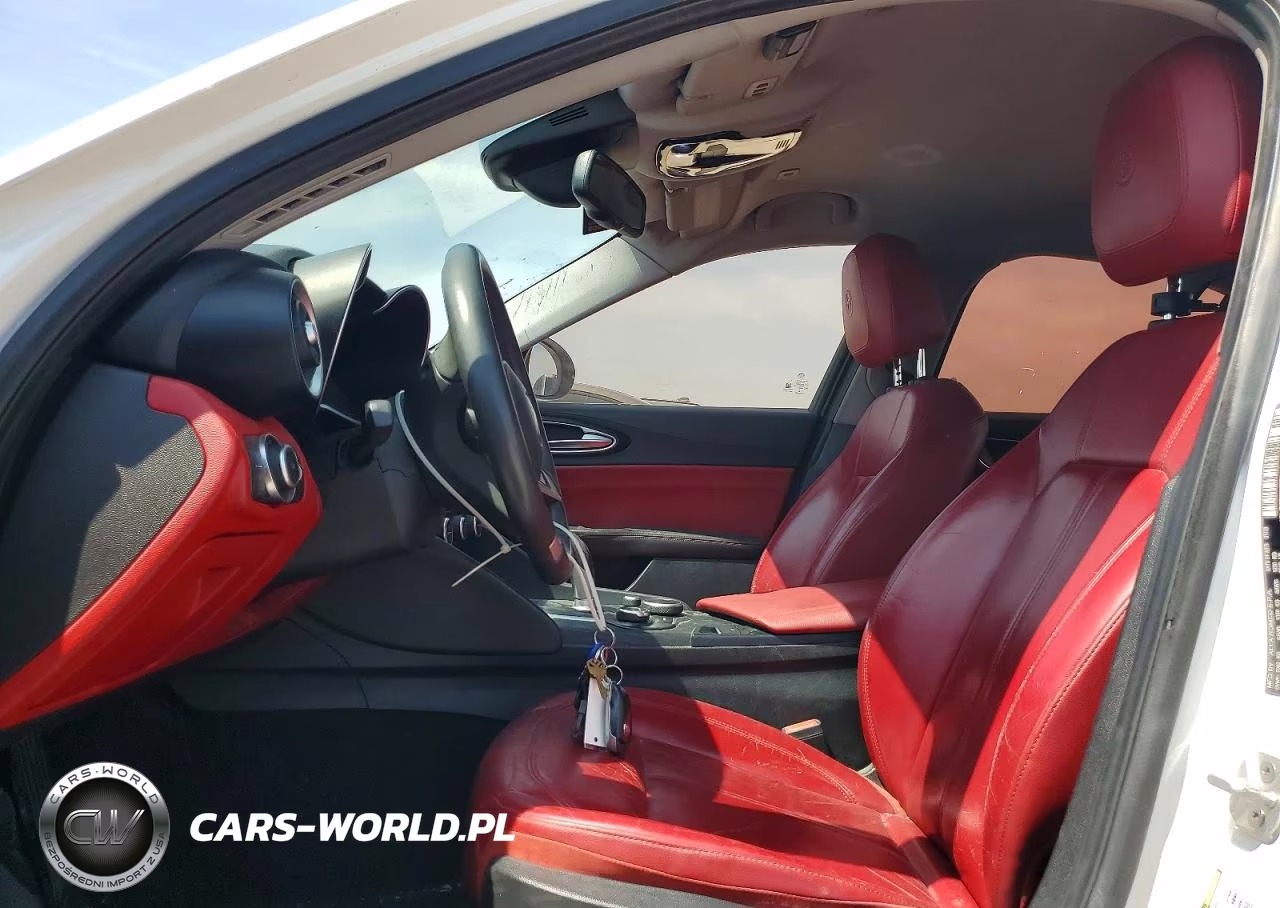 2019 Alfa Romeo Giulia VIN:ZARFAMAN0K7599670 - 10