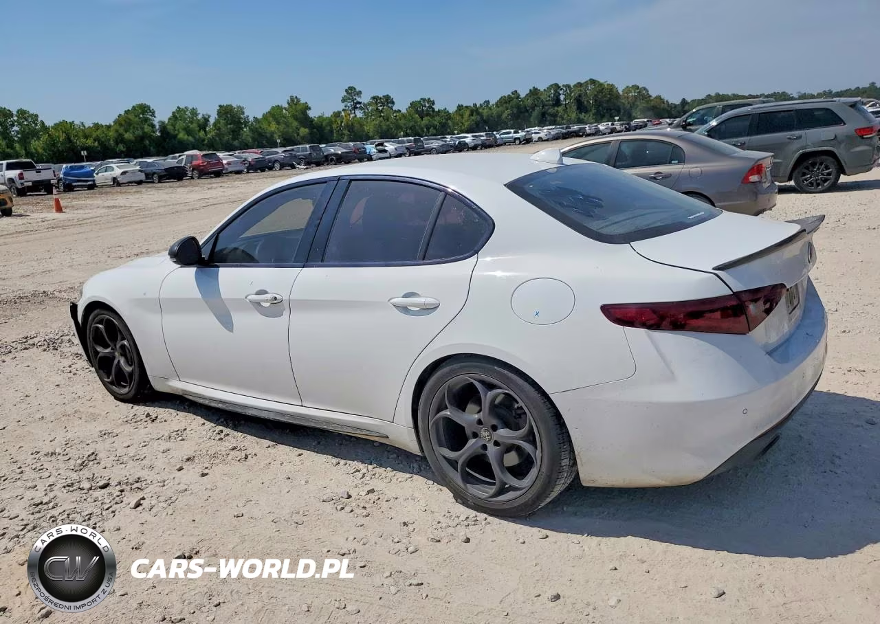 2019 Alfa Romeo Giulia VIN:ZARFAMAN0K7599670 - 2