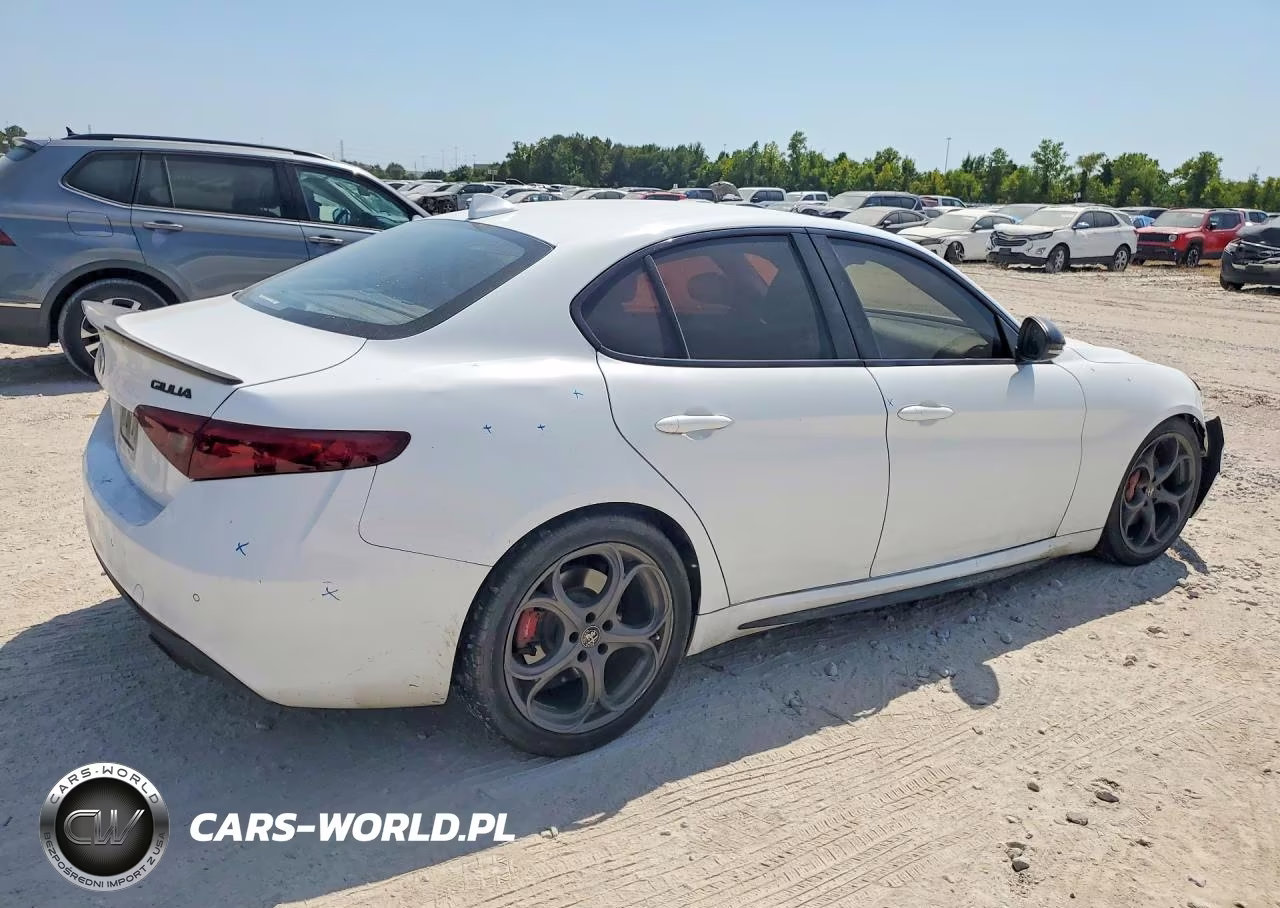 2019 Alfa Romeo Giulia VIN:ZARFAMAN0K7599670 - 3