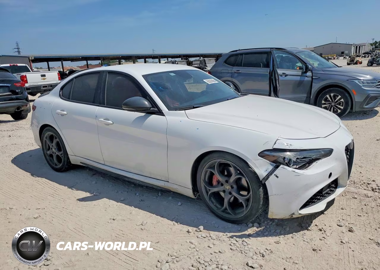 2019 Alfa Romeo Giulia VIN:ZARFAMAN0K7599670 - 4