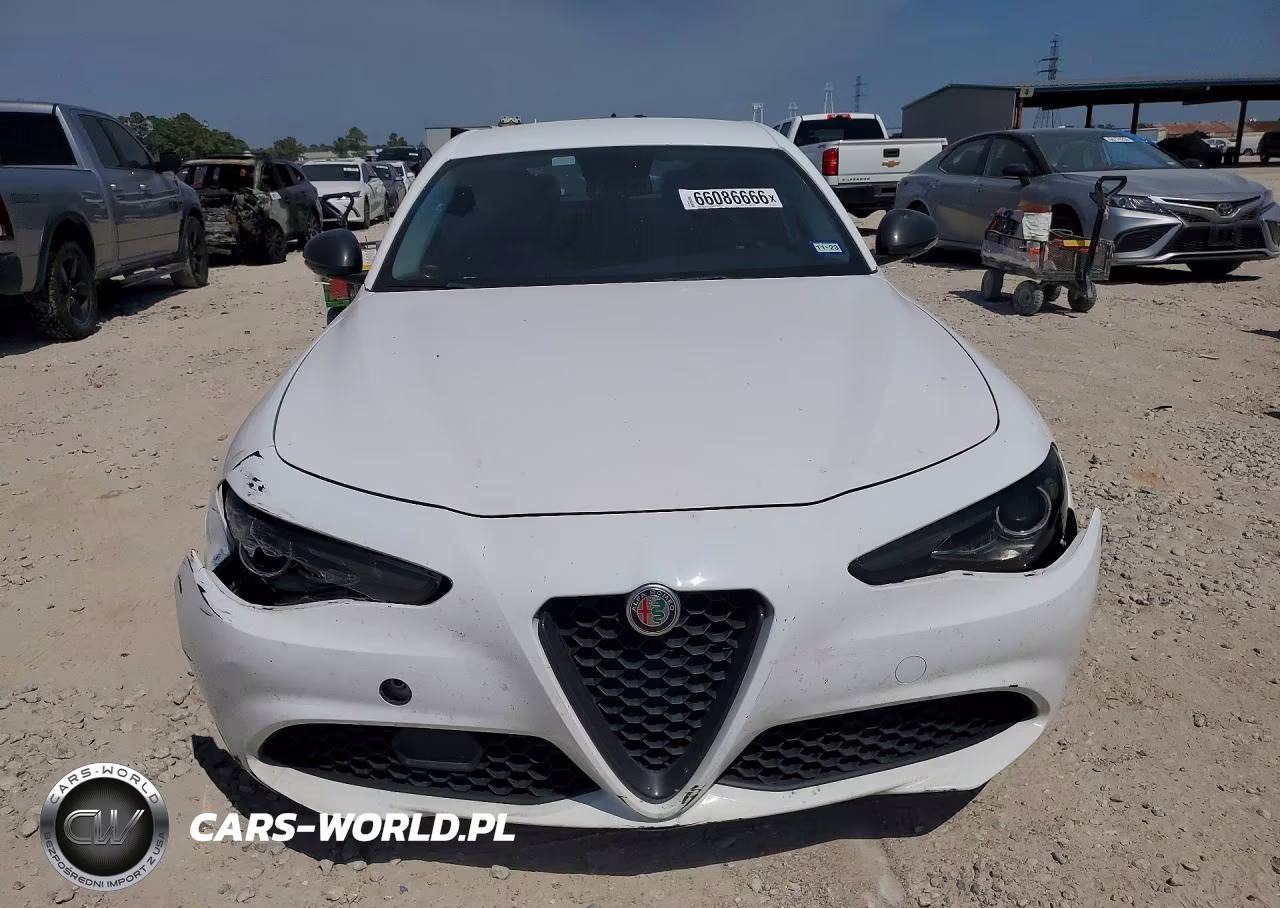 2019 Alfa Romeo Giulia VIN:ZARFAMAN0K7599670 - 5