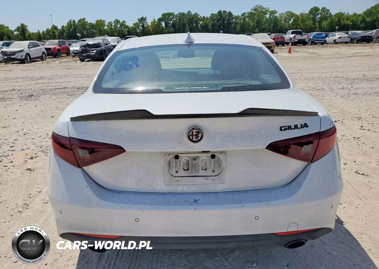 2019 Alfa Romeo Giulia VIN:ZARFAMAN0K7599670 - 6