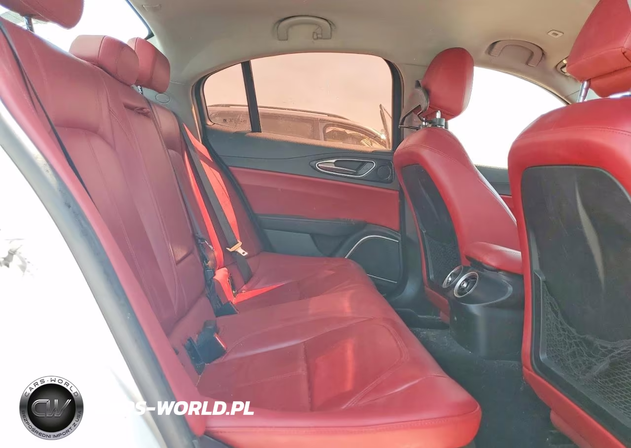 2019 Alfa Romeo Giulia VIN:ZARFAMAN0K7599670 - 7