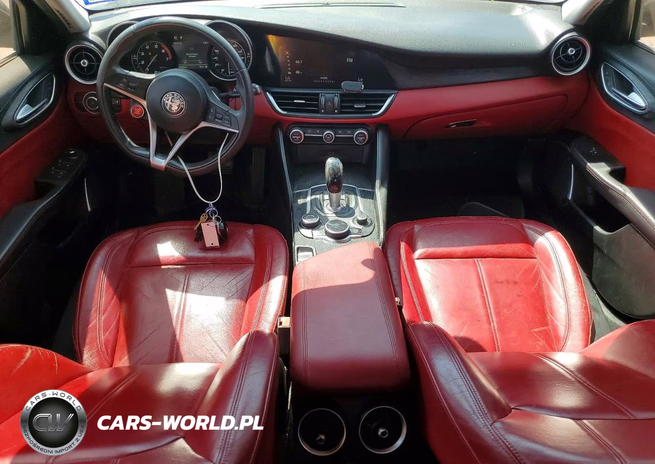 2019 Alfa Romeo Giulia VIN:ZARFAMAN0K7599670 - 8