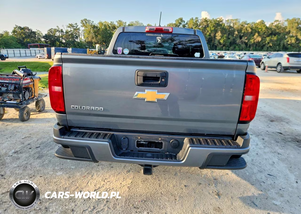 2019 Chevrolet Colorado VIN:1GCGSBEA0K1186657 - 6