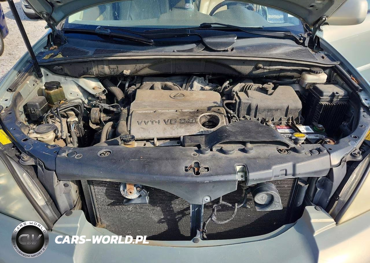 2004 Lexus Rx 330 VIN:2T2HA31U44C019323 - 12