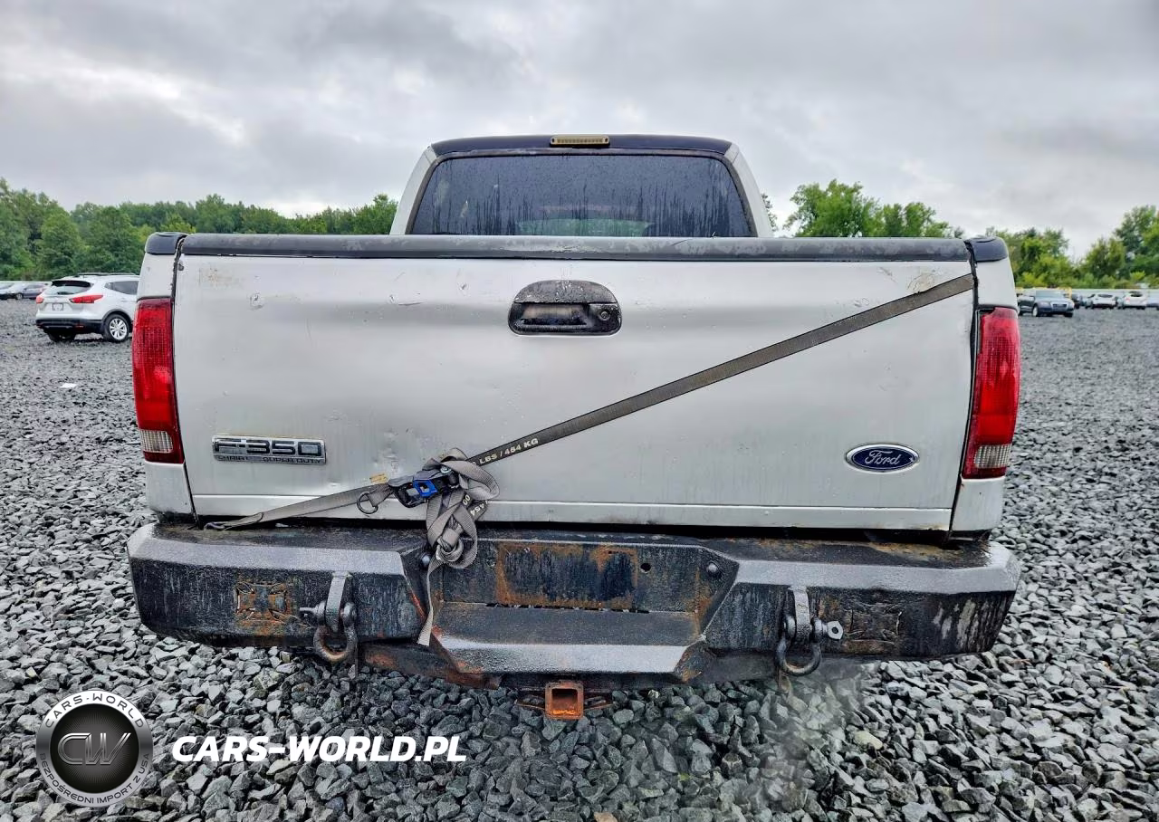 2006 Ford F350 Srw Super Duty VIN:1FTWW31576ED96668 - 6