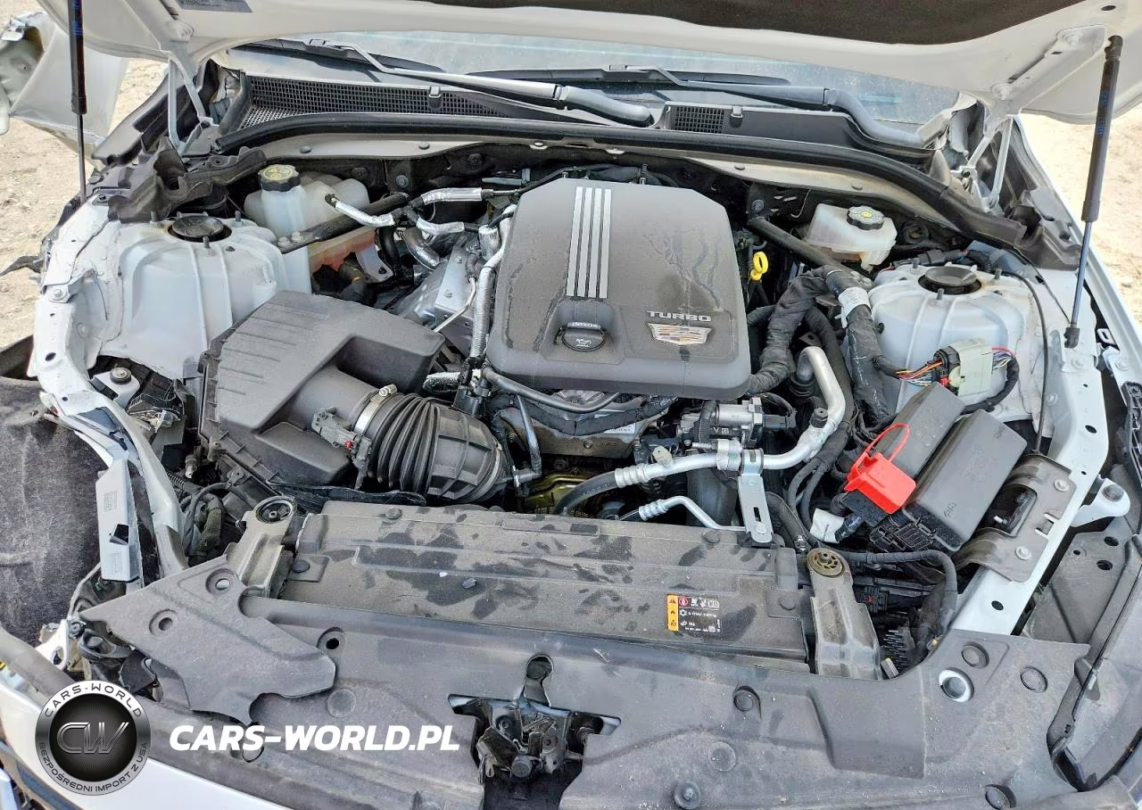 2024 Cadillac Ct5 Premium Luxury VIN:1G6DN5RK8R0101372 - 11