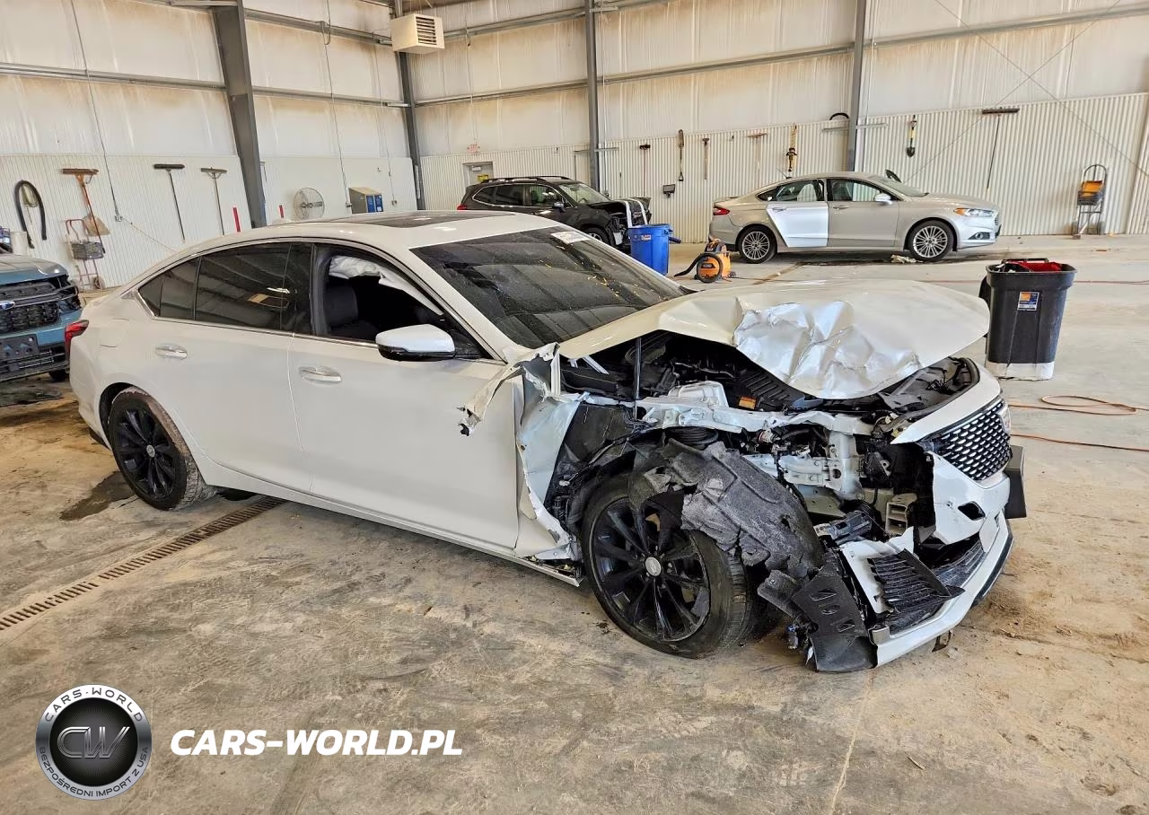 2024 Cadillac Ct5 Premium Luxury VIN:1G6DN5RK8R0101372 - 4