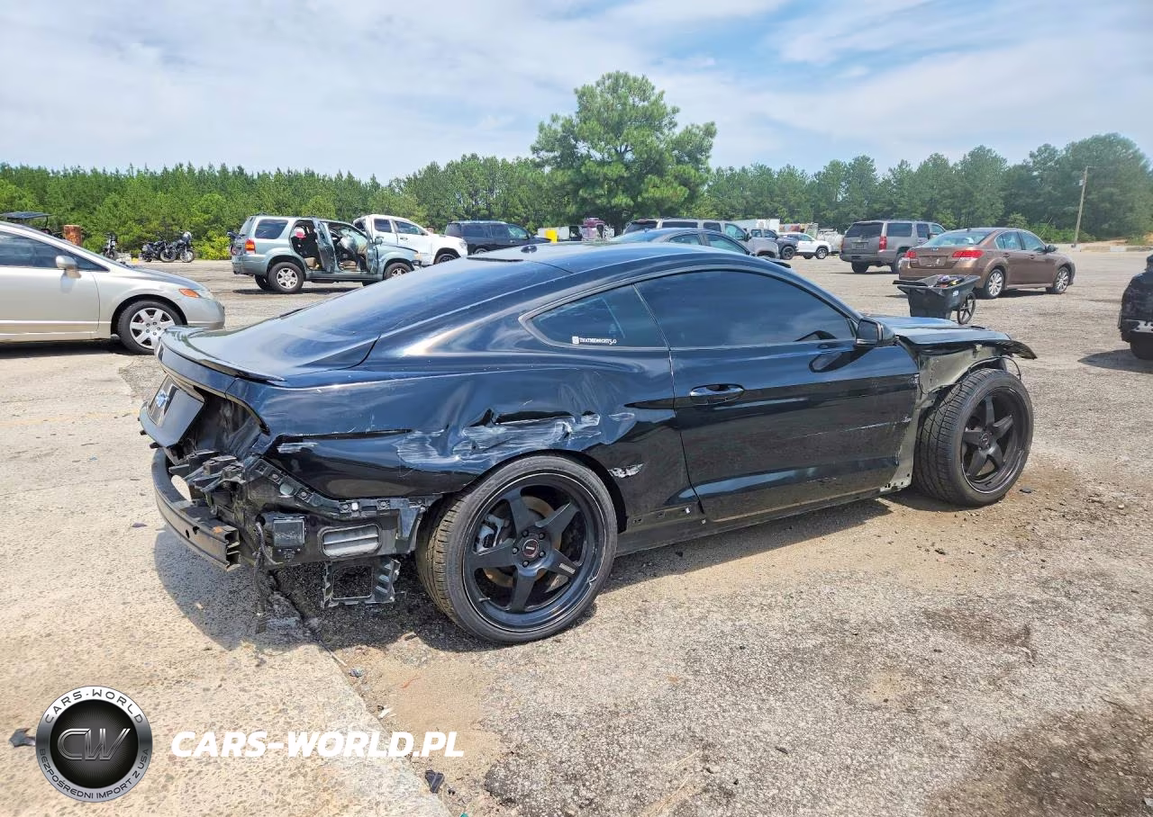 2016 Ford Mustang Gt VIN:1FA6P8CF0G5229074 - 3