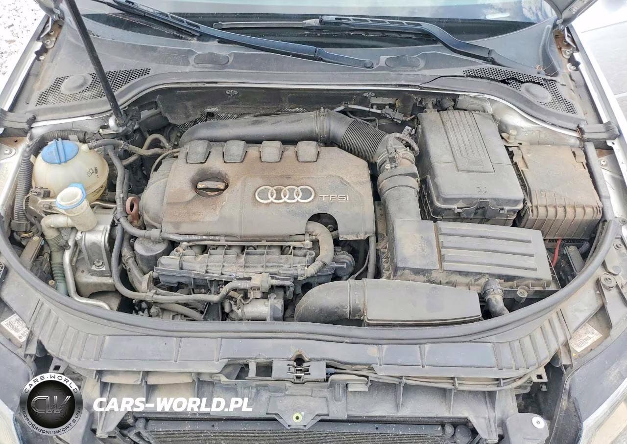 2013 Audi A3 Premium Plus VIN:WAUKEAFMXDA032302 - 11
