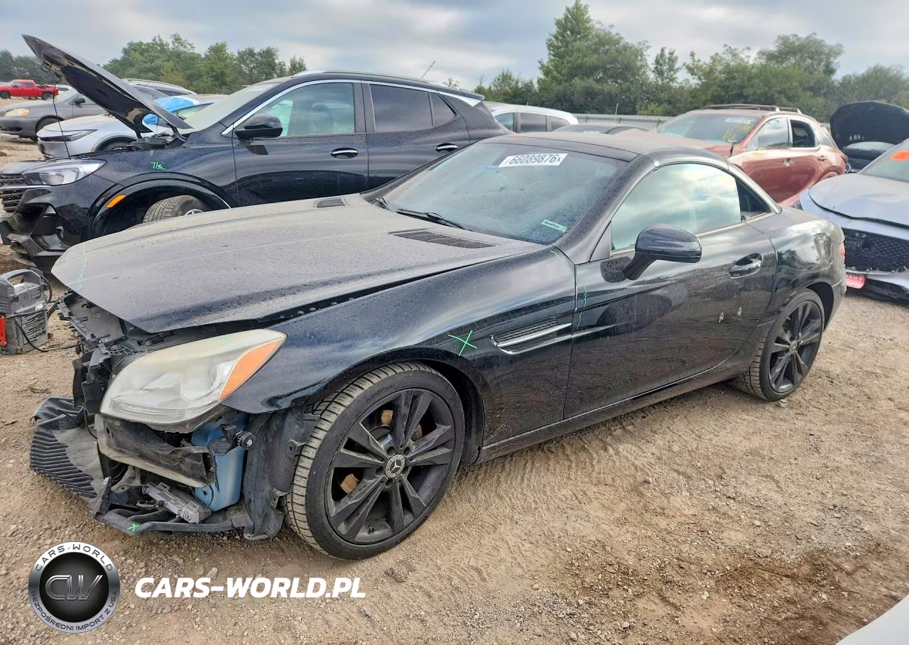 2013 Mercedes-Benz Slk 250 – zdjęcie 1 z 12