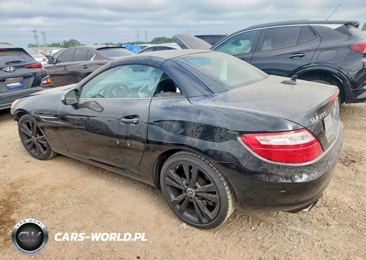 2013 Mercedes-Benz Slk 250 VIN:WDDPK4HA3DF055483 - 2