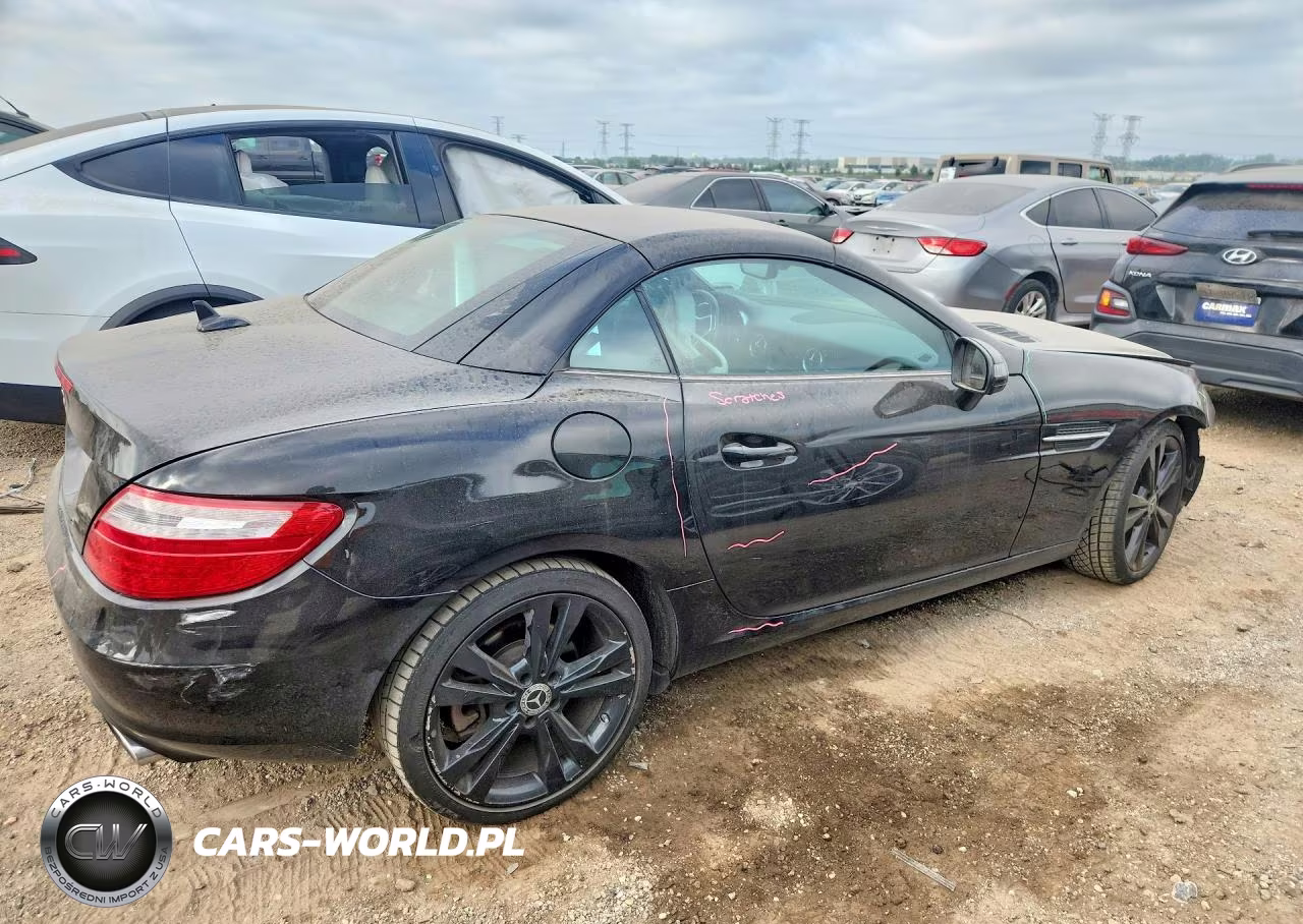 2013 Mercedes-Benz Slk 250 VIN:WDDPK4HA3DF055483 - 3