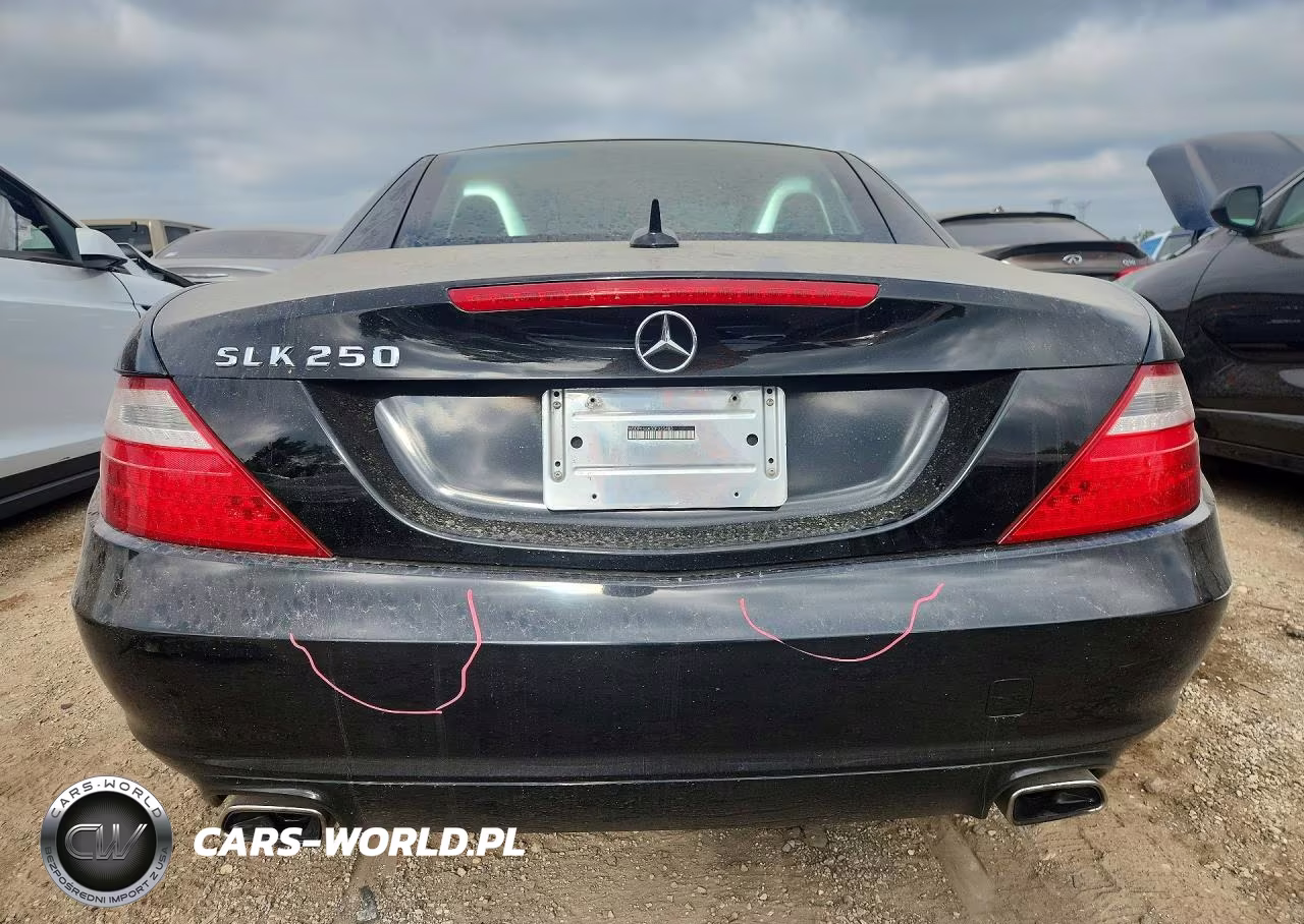 2013 Mercedes-Benz Slk 250 VIN:WDDPK4HA3DF055483 - 6