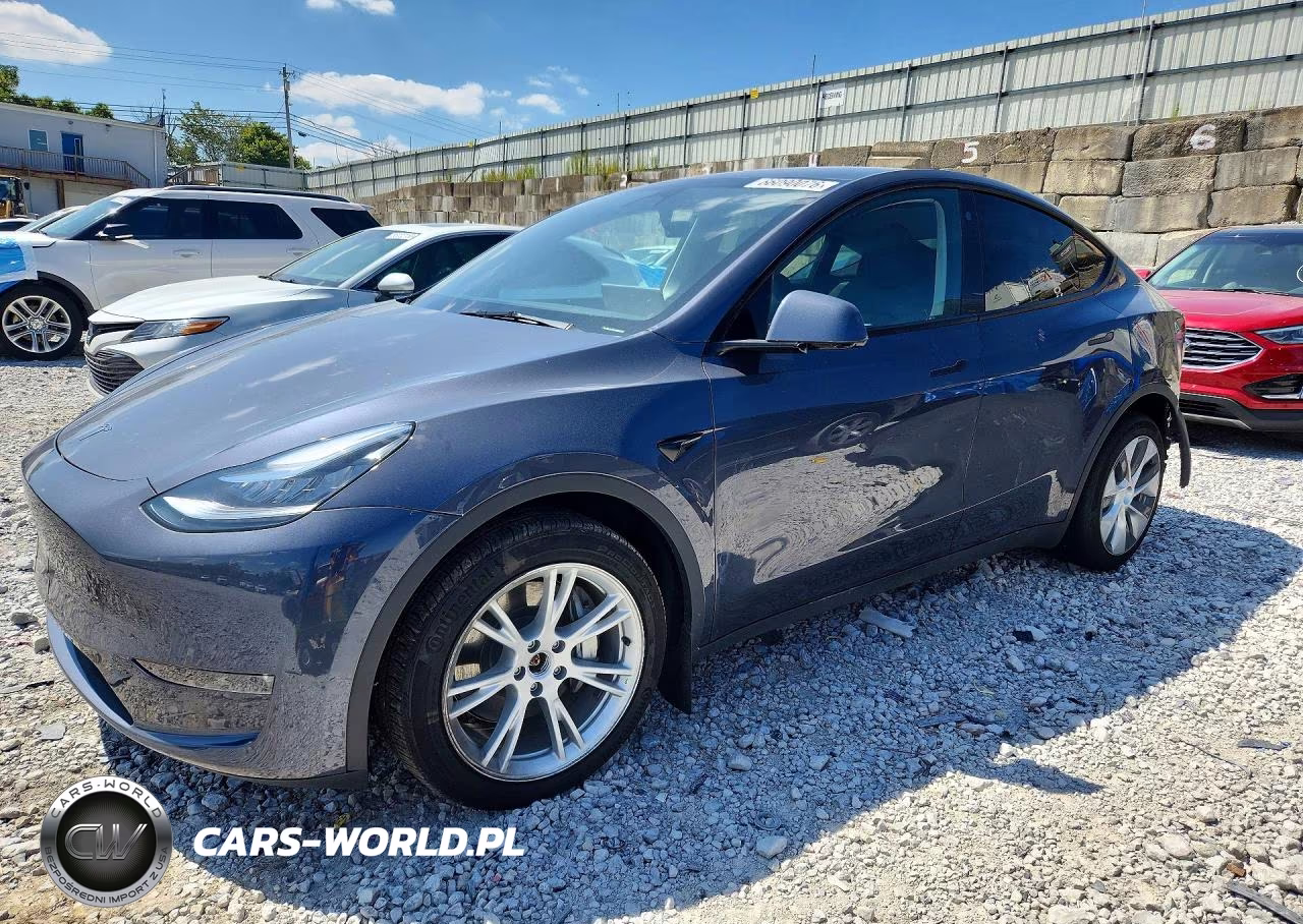 2023 Tesla Model Y VIN:7SAYGDEE5PA060216 - 1