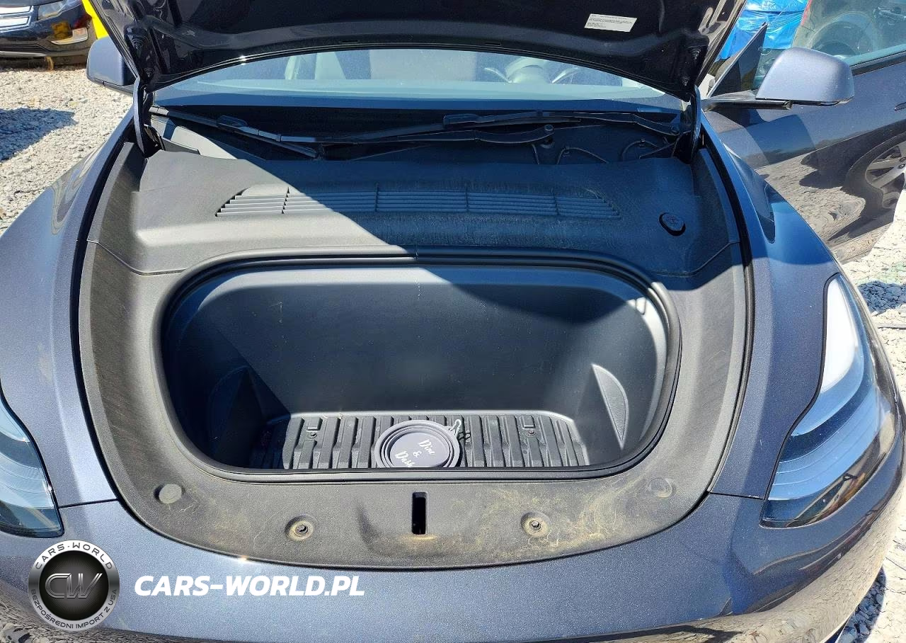 2023 Tesla Model Y VIN:7SAYGDEE5PA060216 - 11