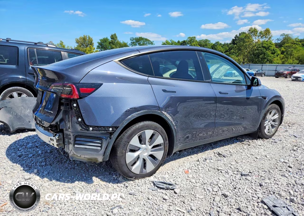 2023 Tesla Model Y VIN:7SAYGDEE5PA060216 - 3